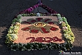 VBS_9791 - Infiorata Santuario della Madonnina di Villanova d'Asti 2024